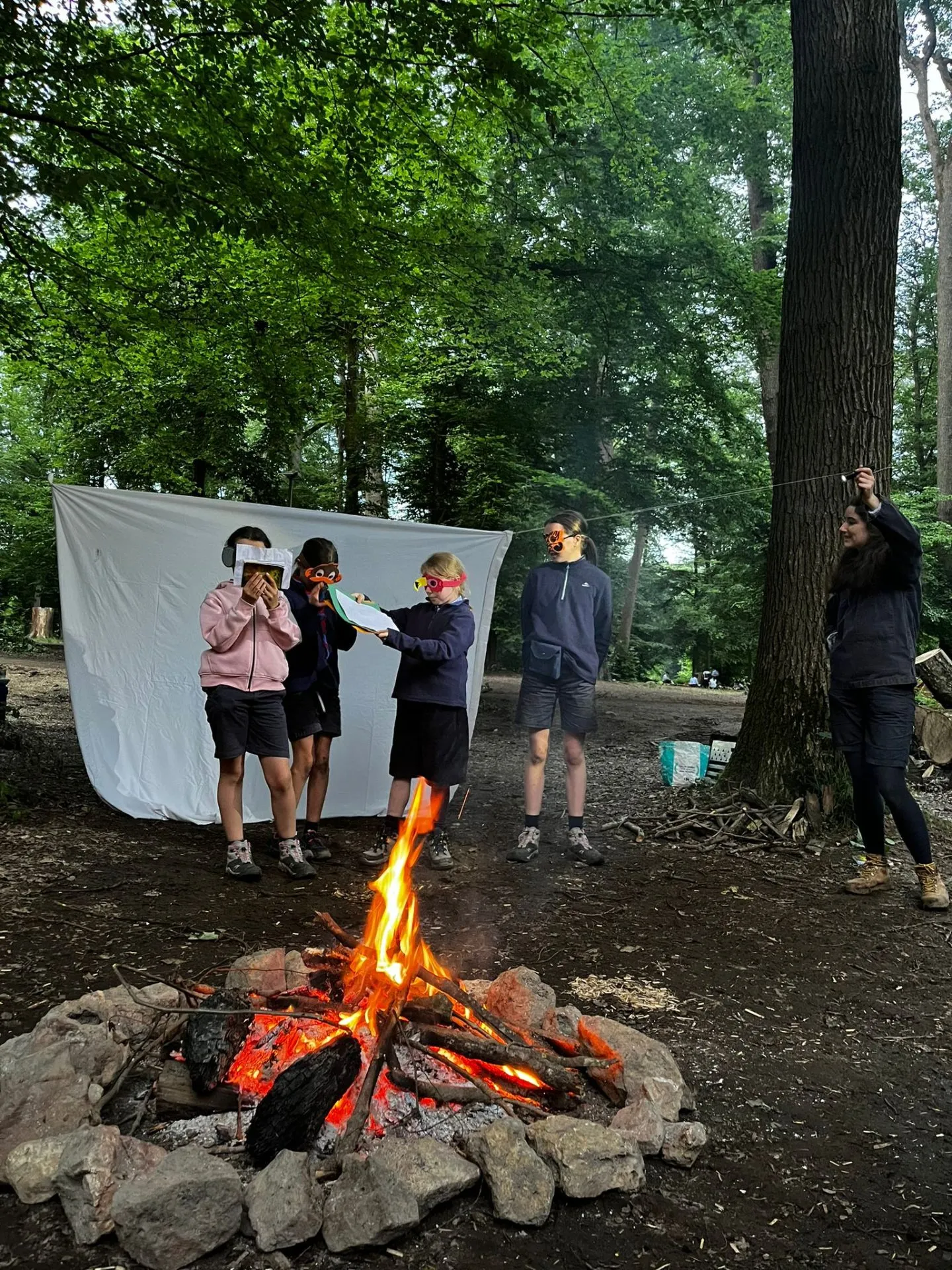 Feu de camp